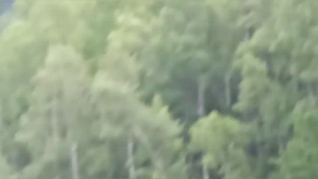 #Снежка#БазаОтдыхаСнежная#