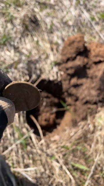 Копендос #коп #metaldetecting #металлоискатель смотреть онлайн