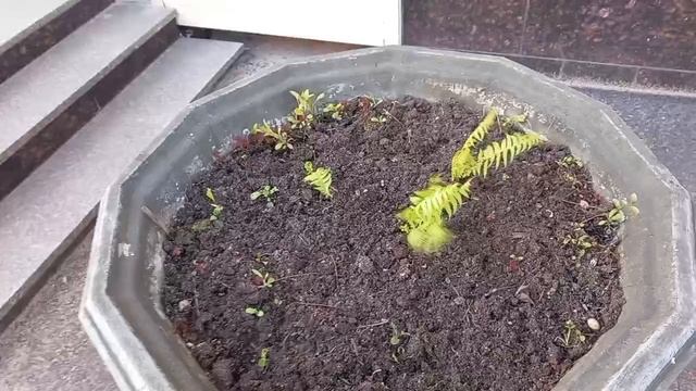 19 мая 2025. Майские угловатости. смотреть онлайн