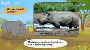 Meet the Animals 38_ White Rhinoceros _ Level 2 _ By Little Fox