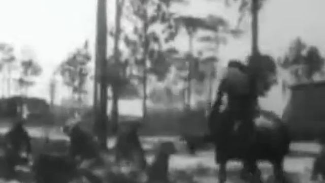 Trained Cavalry Horses ( 1898 год )