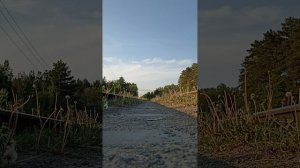 камера под Тепловозом ТЭП70 0282 с пригородным поездом с?
