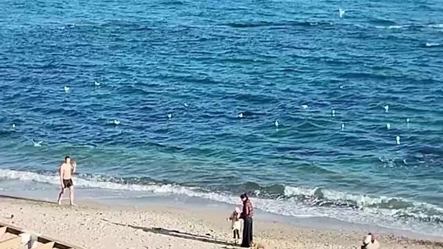 Одесса ⚓ Отличное место для релакса)🌞🩵#уЧерногоМор? смотреть онлайн