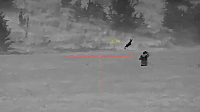 тепловизионный прицел Pard SA31-35LRF смотреть онлайн