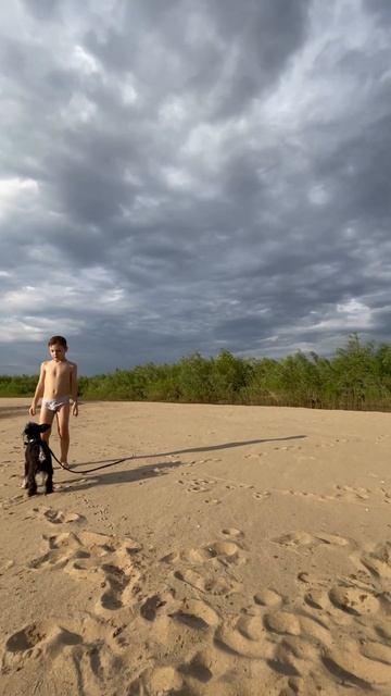 Собака ловит ворон #funnyshorts #friends #деревенскаяжизнь #сме? смотреть онлайн