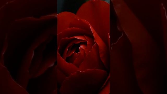 И каждую мину ты со мной Video