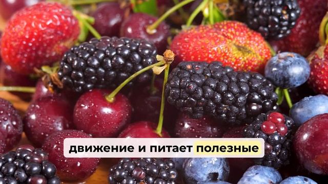 Топ 3 фрукта, которые обязательно нужно есть диабетика