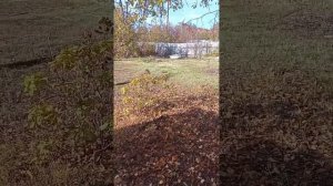 Заводим триммер бензиновый REDVERG RD -GB233S. Результат поко?