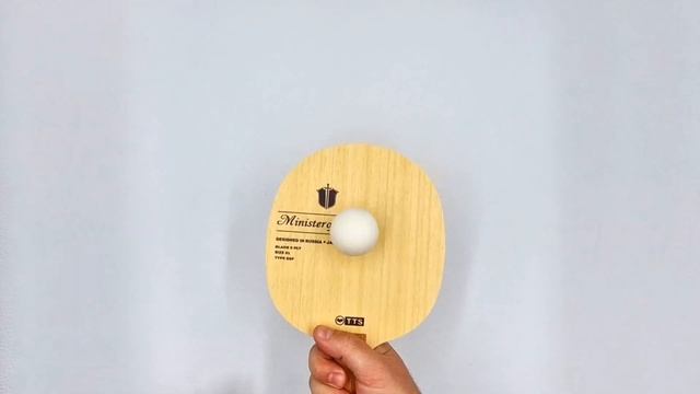 Основание для настольного тенниса TTS MINISTER OF DEFENCE