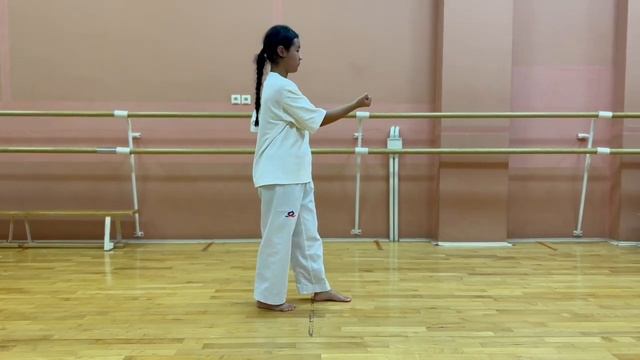 Тхэквондо ВТФ 1-ое пхумсэ Тэгук Иль Джан