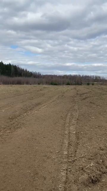 Результат расчистки С/Х ПОЛЕЙ мульчером Merlo 89051099595 смотреть онлайн