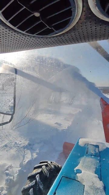 20 февраля 2024 г. смотреть онлайн