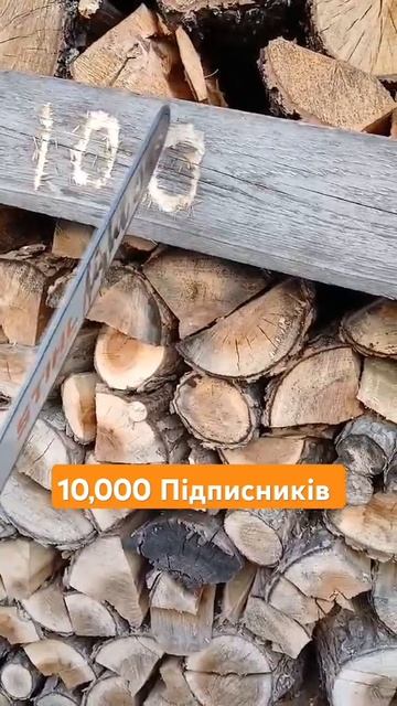 STIHL MS250 #stihlms250 #stihl250 #youtubeshorts #Село_та_STIHL смотреть онлайн