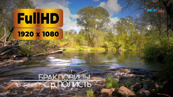 ШУМ ВОДЫ - РЕКА ПОЛИСТЬ. Реальный шум воды. FHD ЗАСТАВКА. Живая природа. АНТИСТРЕСС, RELAX.