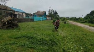 Кошу траву перед двором. Бензиновый триммер