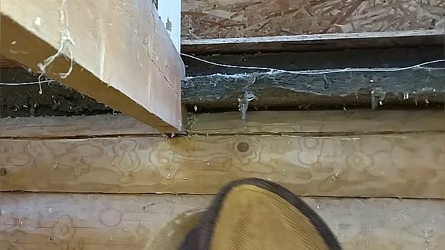 сруб бани, пароизоляция потолка, 1 шаг вырезка паза .mp4