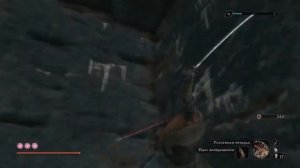 ГДЕ НАЙТИ ВСЕ 40 БУСИН В СЕКИРО. НА ПИКЕ ФОРМЫ. МАКСИМАЛЬНАЯ ПРОКАЧКА ЖИЗНИ И ВЫНОСЛИВОСТИ.