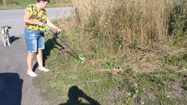 Триммер аккумуляторный садовый, с двумя аккумулятора?