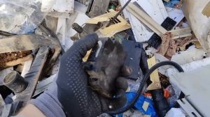 PLASTILIN. ПОЕЗДКА НА СВАЛКУ ЗА ХЛАМОМ! МЕДЬ, ЛАТУНЬ, СВИНЕЦ