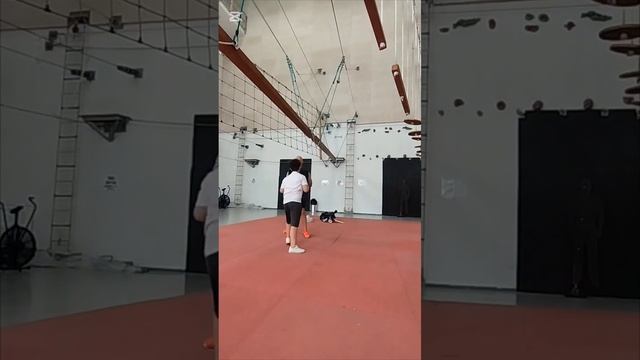 Папа и детиDaddy and son#fight#karate#karatekid#дети#родители#трениров смотреть онлайн