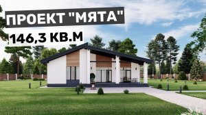 Проект «Мята»