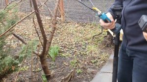 Аккумуляторный секатор высоторез для обрезки деревье