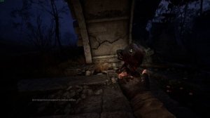 Артефакты Stalker 2 (Малая зона)!