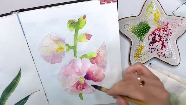 Рисуем мальву \акварель уроки смотреть онлайн