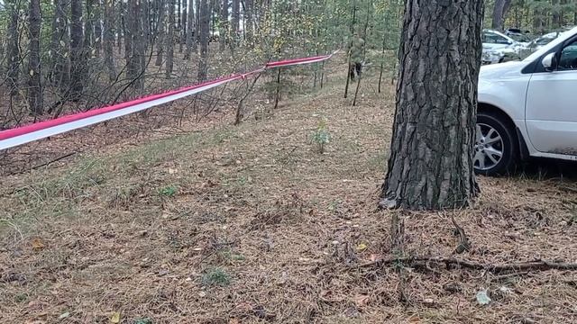 День народження клубу КСО О-Компас 31 рік. смотреть онлайн