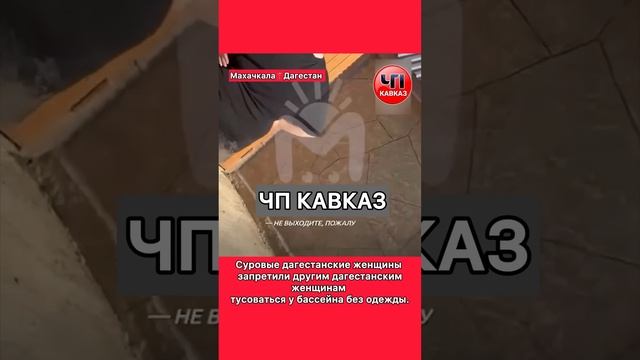 Суровые дагестанские женщины запретили другим дагест