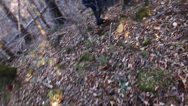 Уссурийская Тайга Дебри Приморье Д.В. 28 октябрь 24 г. о.З