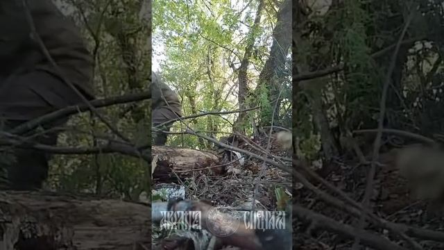 Пополнение обменного фонда. Денацификация. Где то в Сумской области .. 2025 смотреть онлайн