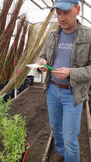 Секаторы которыми работаем смотреть онлайн