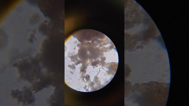 3 часть Находки в микромире