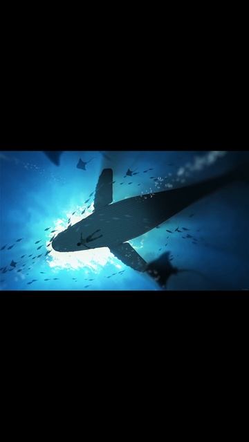 Целебный звук смотреть онлайн