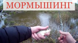 Мормышинг. Рыбалка со спиннингом на водосбросе