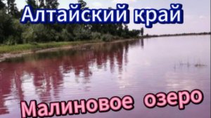 Малиновое озеро! Алтайский край!