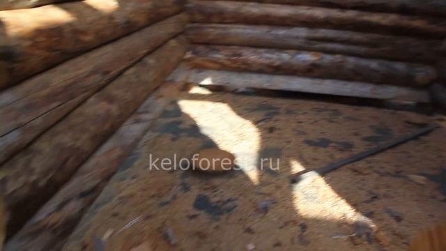 Сруб из сухостоя Баня Обзор 2 Лето 2024 г смотреть онлайн