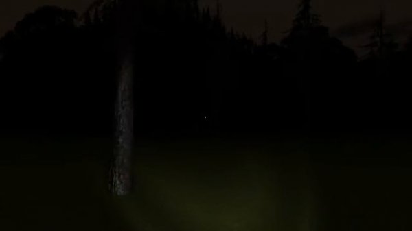 Holan#1 Парень в голубой рубашке (c) Nik