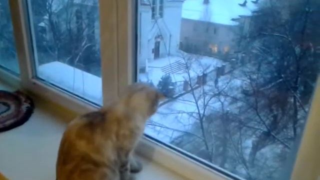 Охота на снежинки. смотреть онлайн