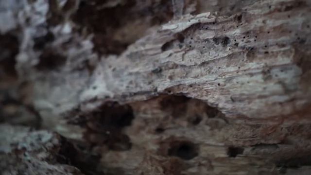 Шаманка. Скала Зеркало смотреть онлайн