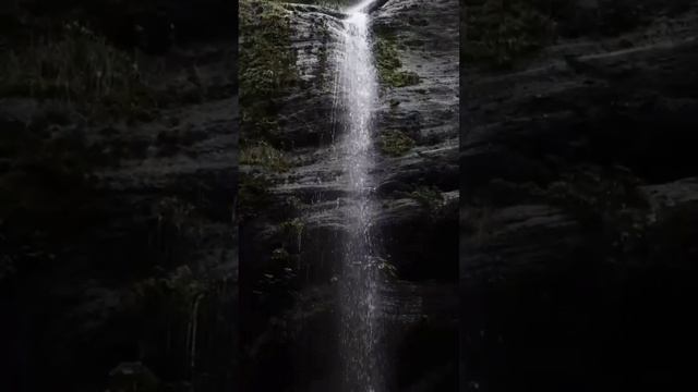 Юлиана Кёпке.пережила авиа катастрофу и выжила в джун? смотреть онлайн