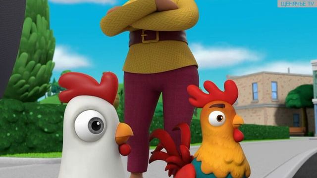 Щенячий патруль | 8 СЕЗОН 1 СЕРИЯ (А) | Pups Save A Runaway Rooster