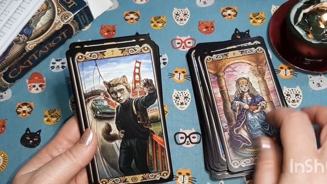 😻CatTarot😻Знов Котяче Таро😱😻📦Unboxing📦