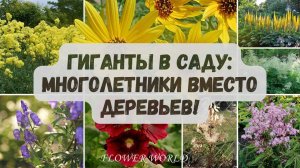 Гиганты в саду: Многолетники вместо деревьев!🧐