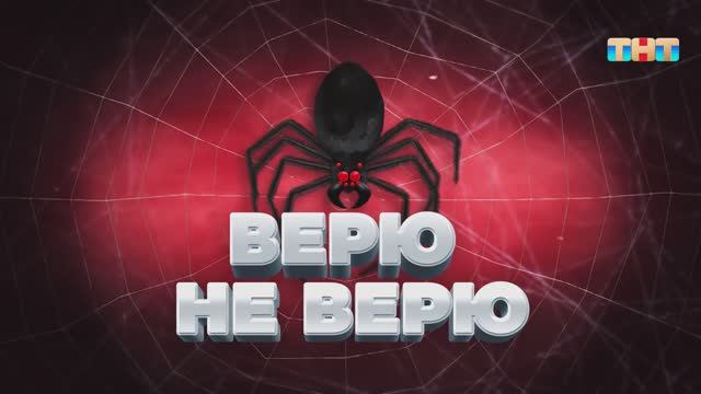 Игра «Верю не верю» | ШОУ ВОЛИ смотреть онлайн