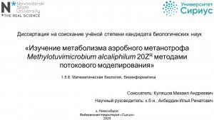 Заседание диссертационного совета НТУ.1.5.8.06 по защите диссертации Куляшова Михаила Андреевича