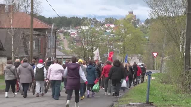 Молодые деревца в Парке Победы