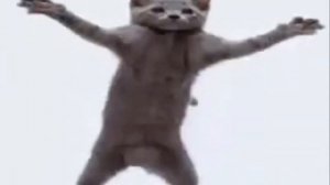 ХОЛДИК ЛЮБИТ СУНДУКИ 1ЧАС (REMIX)