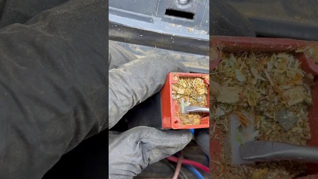 Измельчитель веток ALKO не включается. Частая проблема. смотреть онлайн
